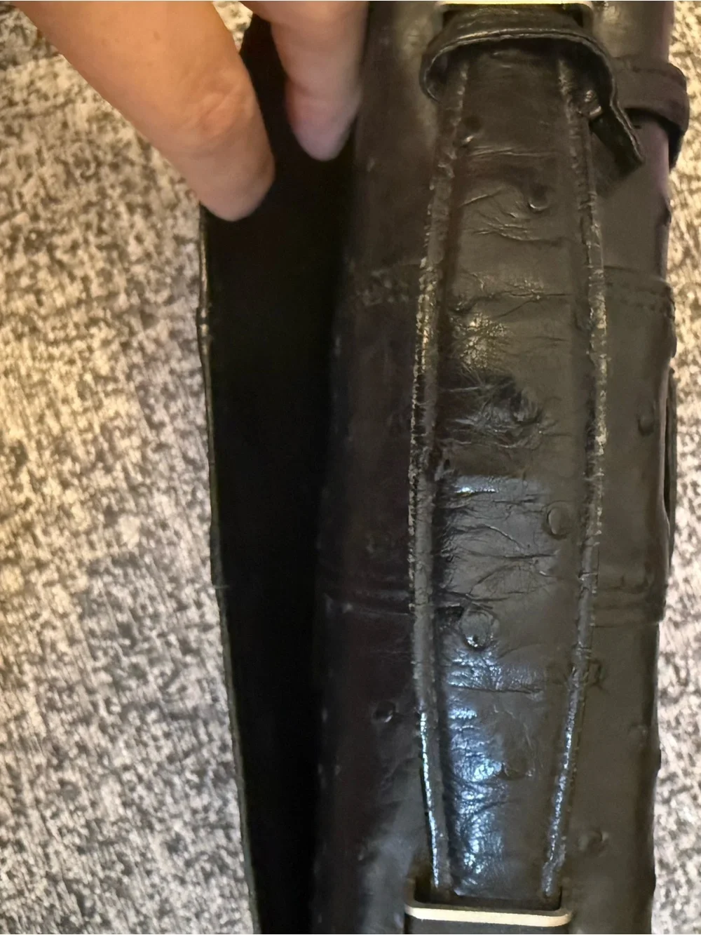 Japan Reptile Association timeless black